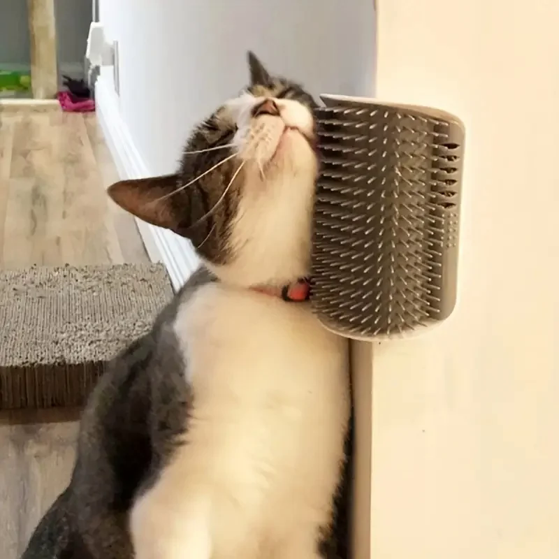Tabby cat rubbing its cheek against a Mewnook corner groomer fitted to a wall corner