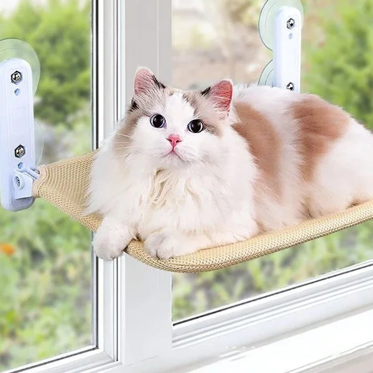 Mewnook window hammock in beige mesh fitted to a window with two suction brackets and a cat resting on it